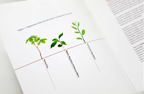 Optimum Management cover